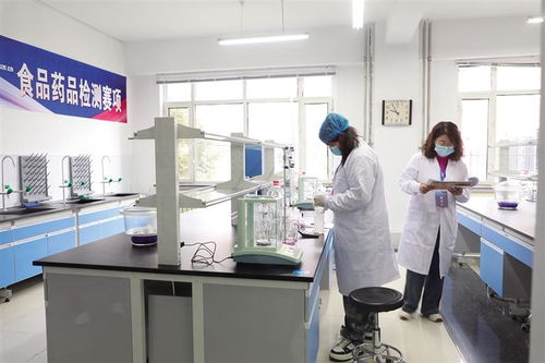 聚英才 展絕活 創(chuàng)未來 信息技術(shù)咨詢服務(wù)的時代價值